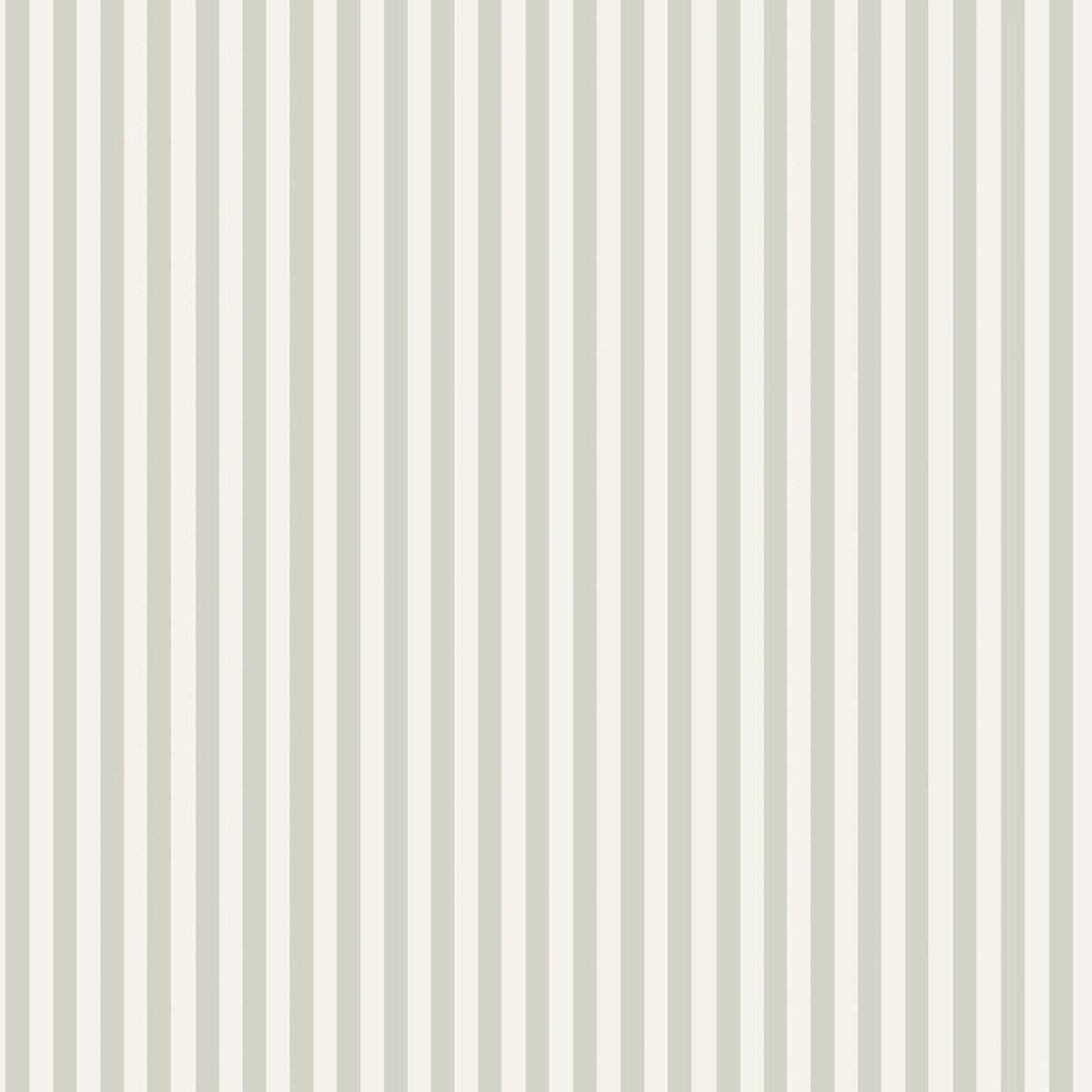 Molle Stripe 5737