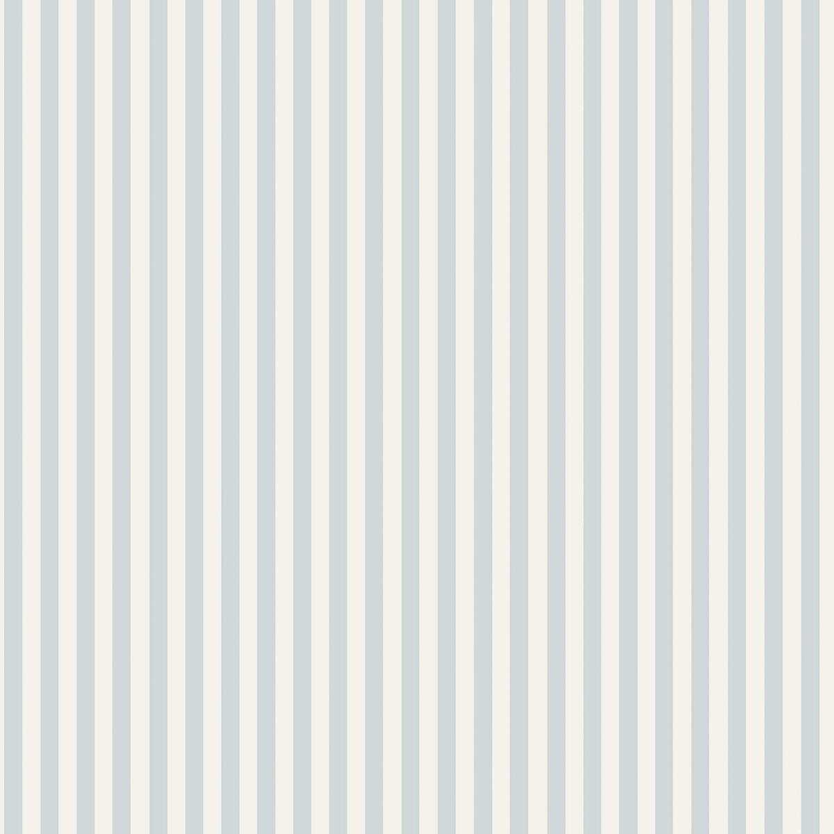 Molle Stripe 5738
