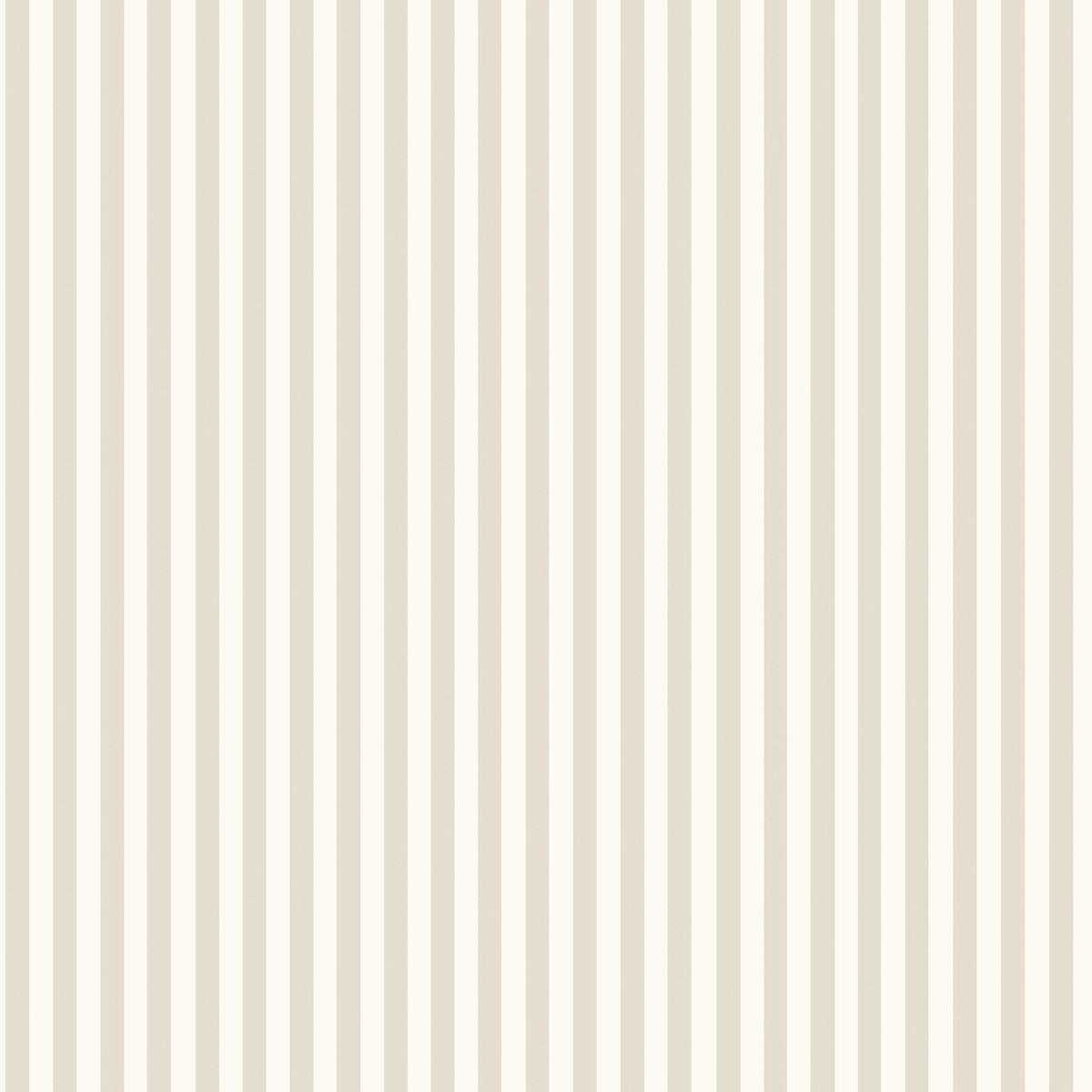 Molle Stripe 5739