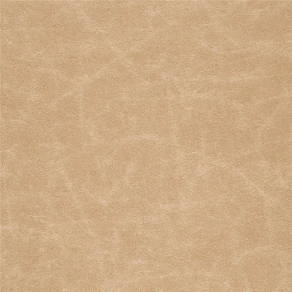 Arizona