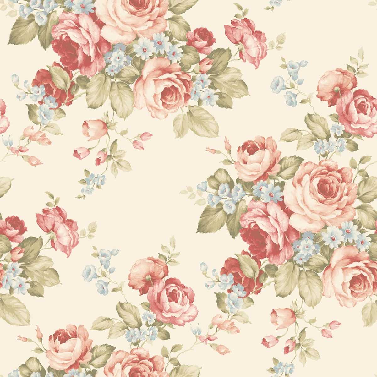 Abby Rose 4 AB27614