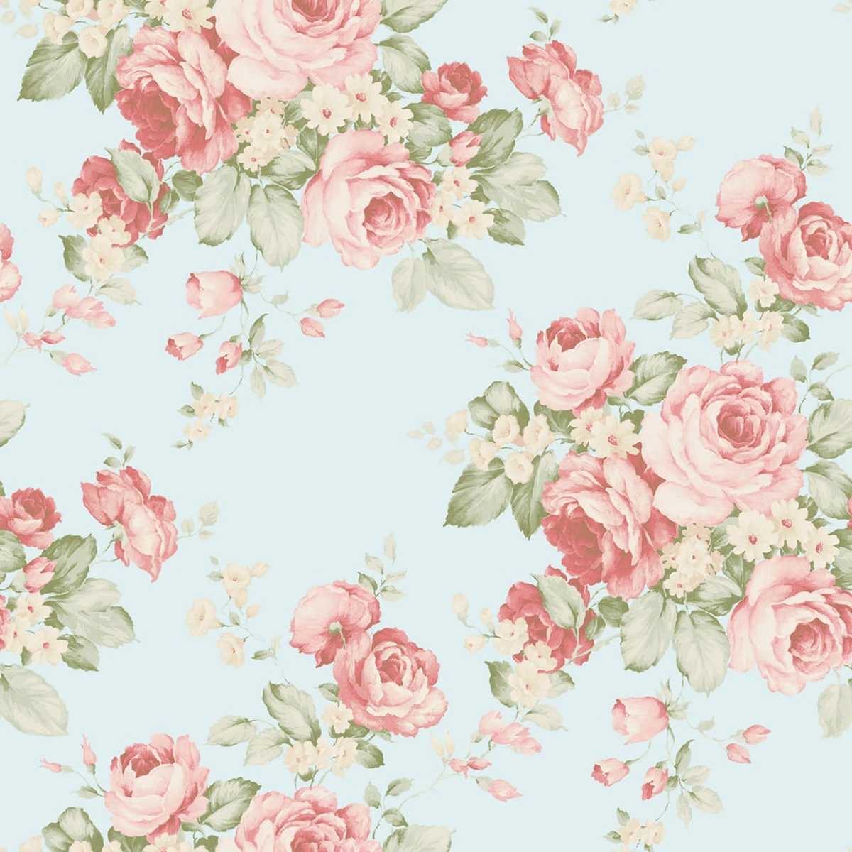 Abby Rose 4 AB27615