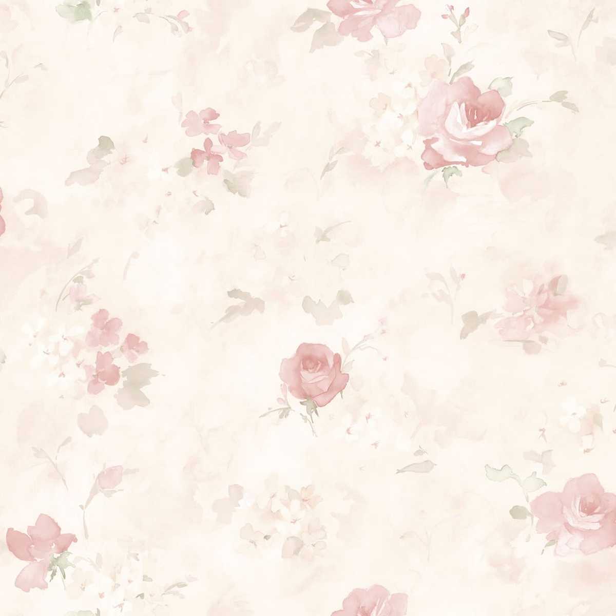 Abby Rose 4 AB27661