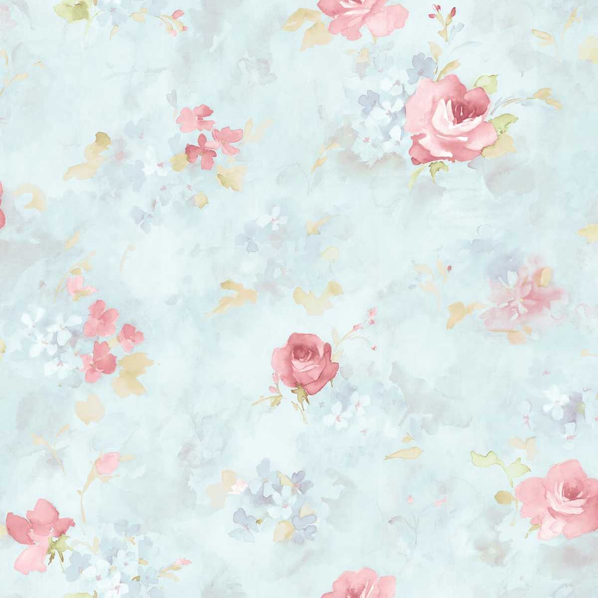 Abby Rose 4 AB27662