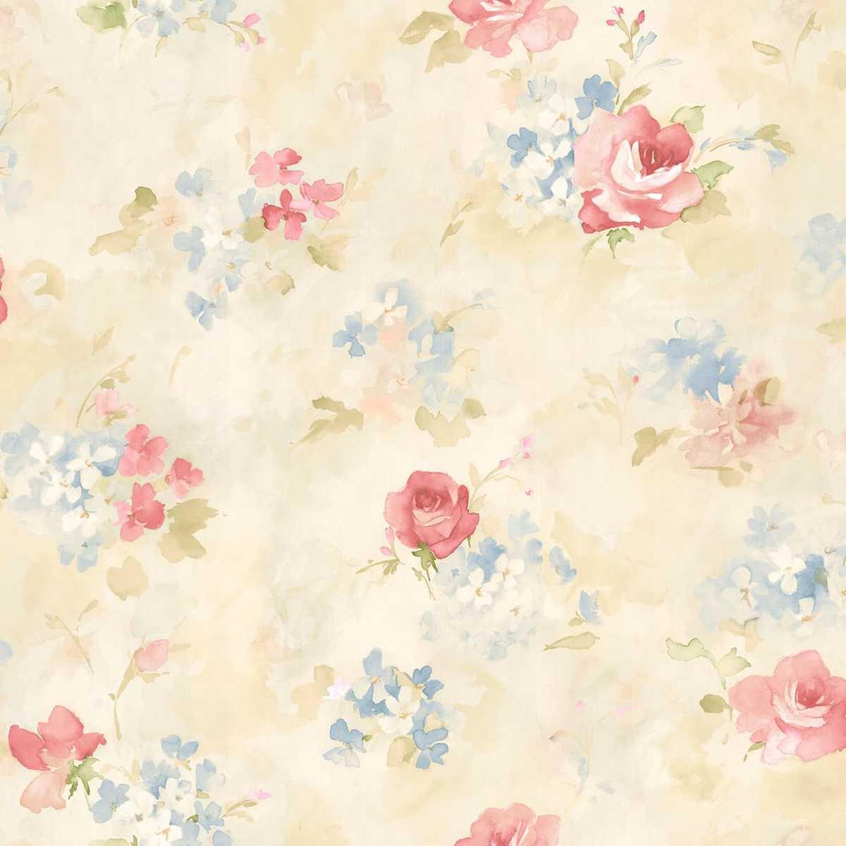 Abby Rose 4 AB42418