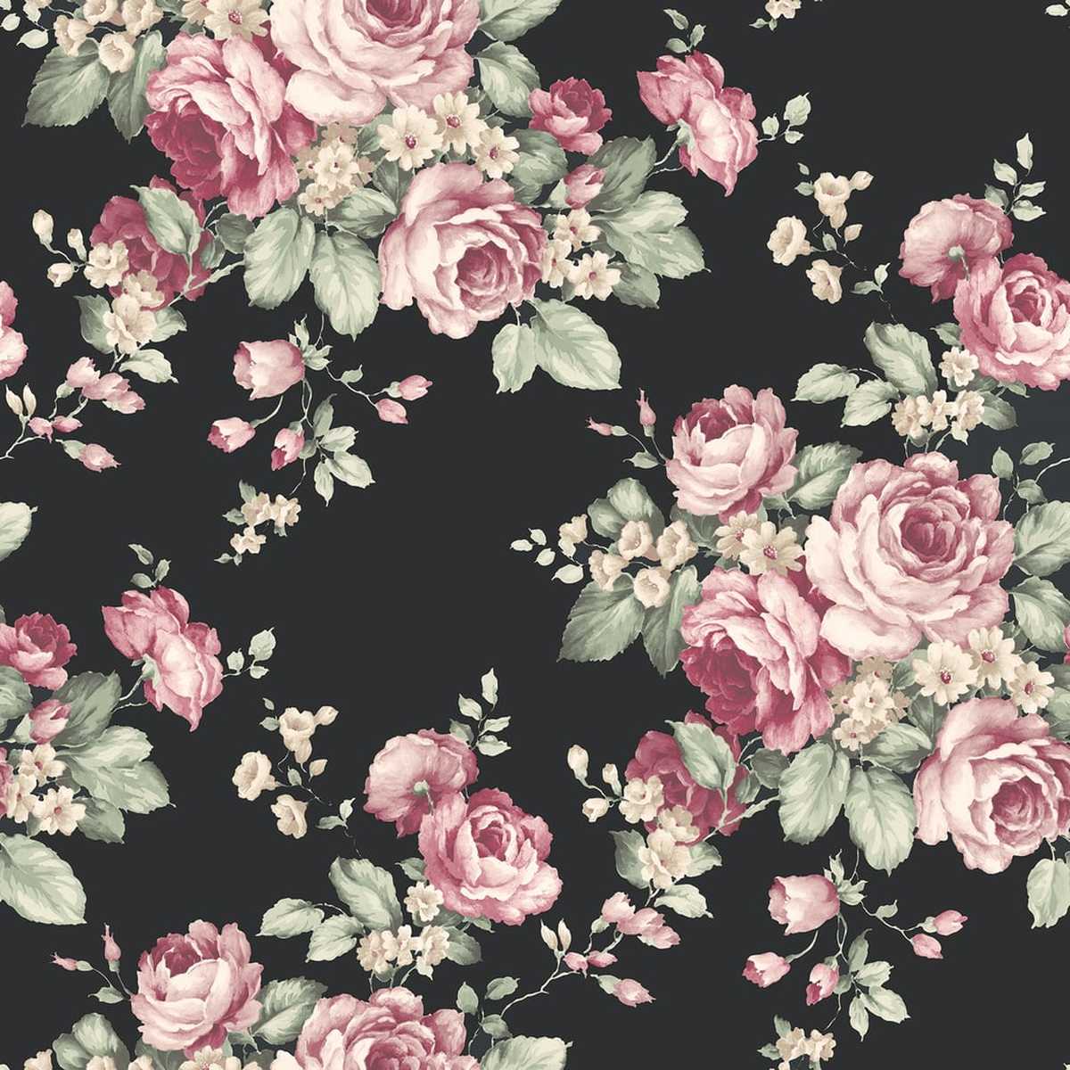 Abby Rose 4 AF37700