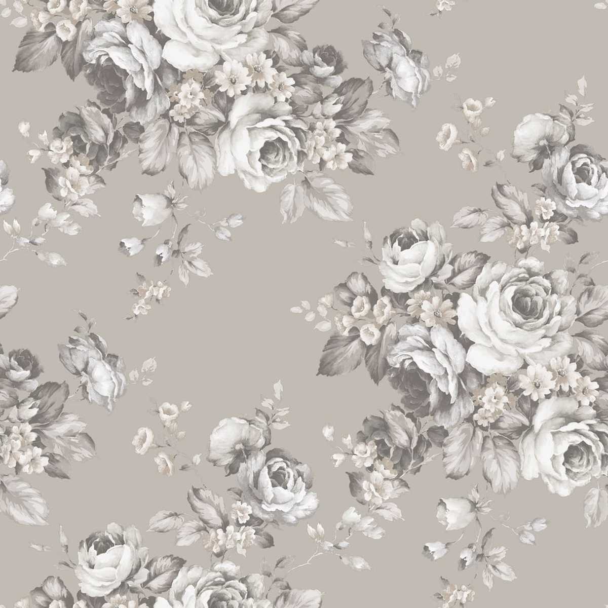 Abby Rose 4 AF37701