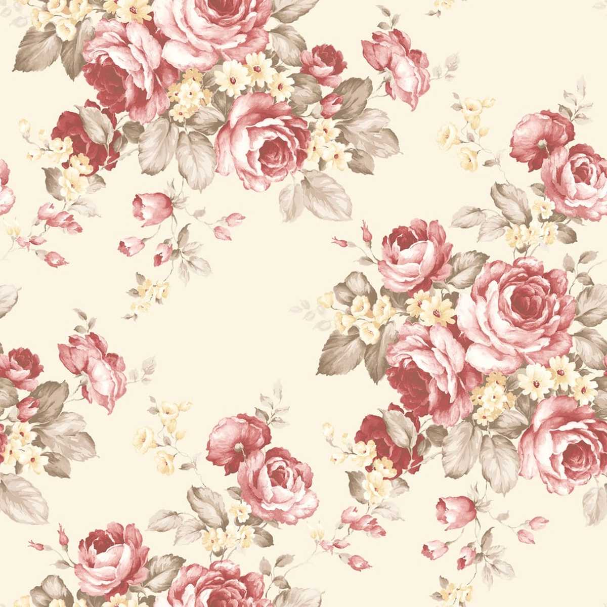 Abby Rose 4 AF37702