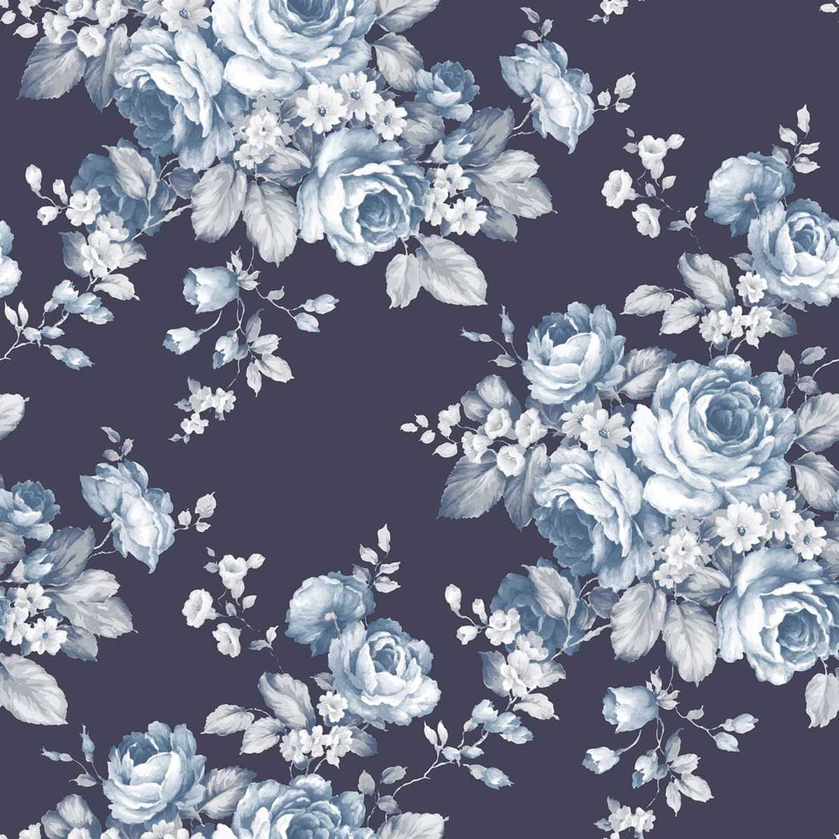 Abby Rose 4 AF37703