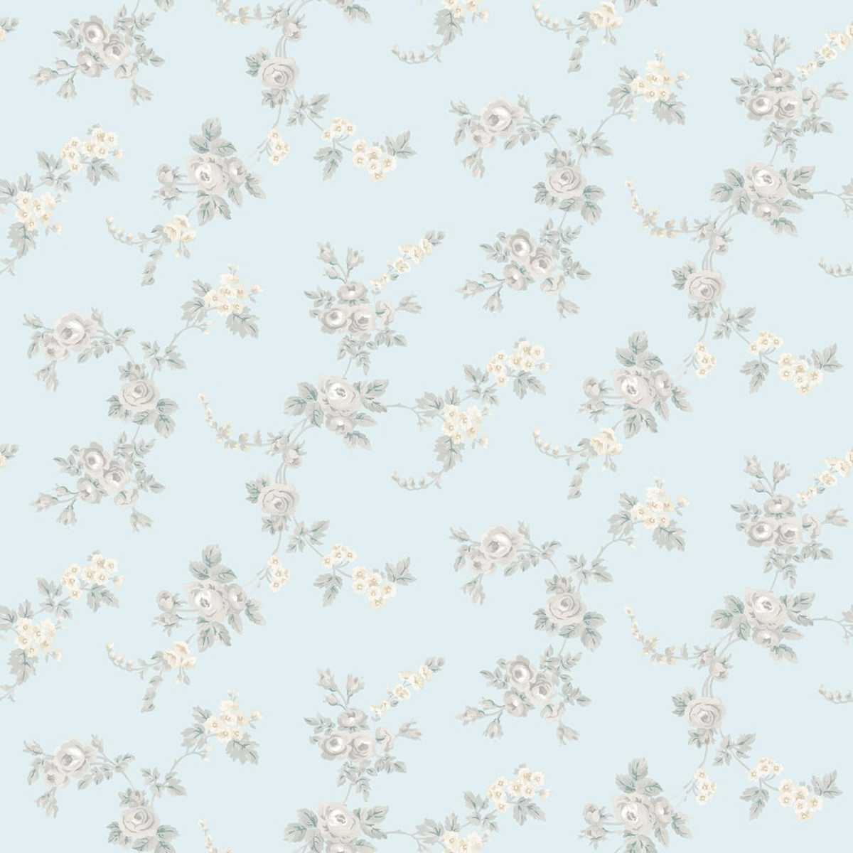 Abby Rose 4 AF37706