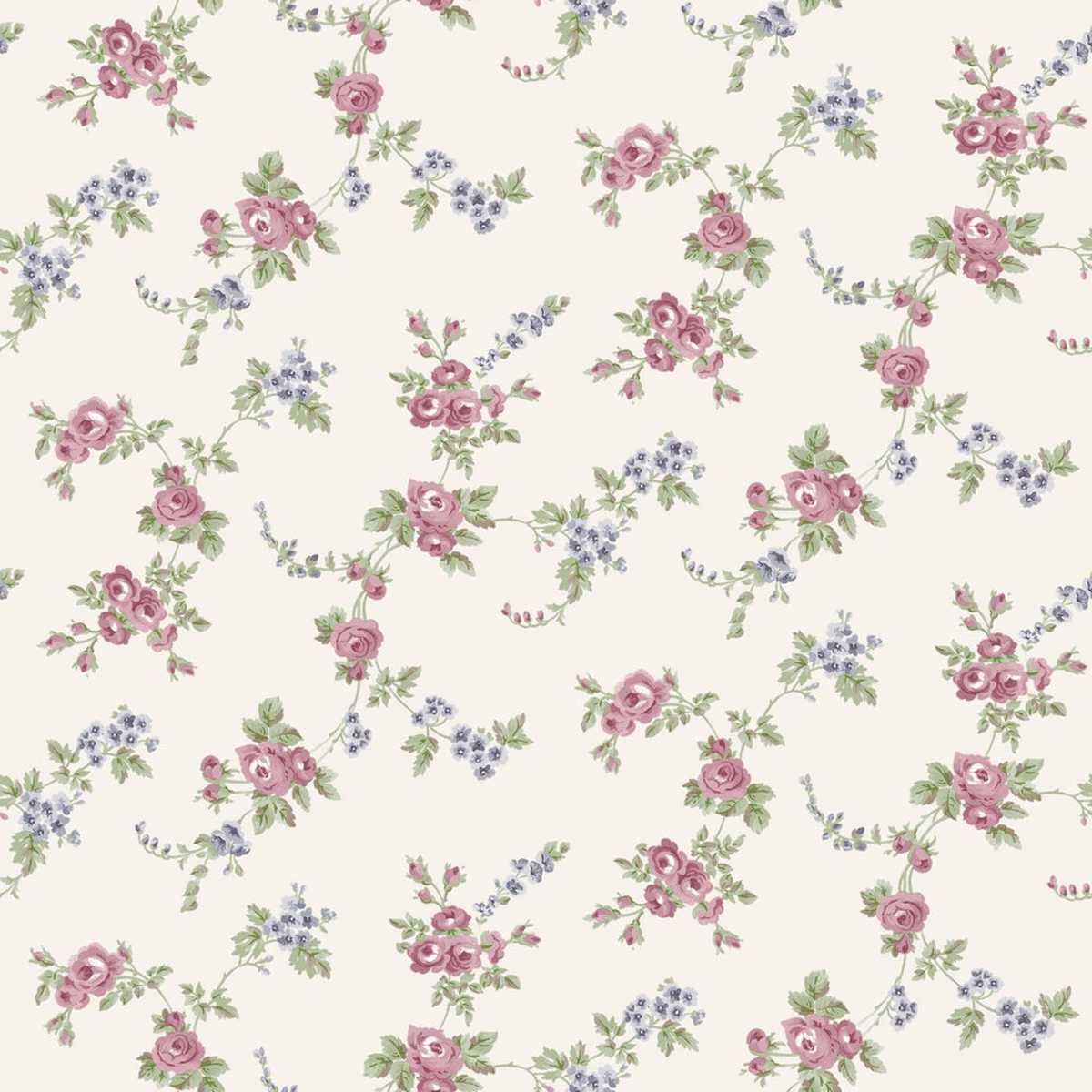 Abby Rose 4 AF37707