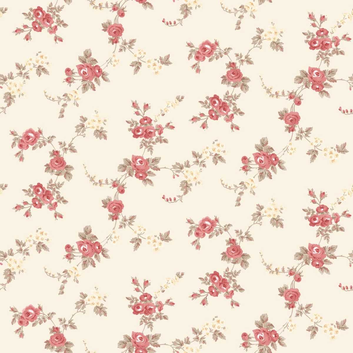 Abby Rose 4 AF37708