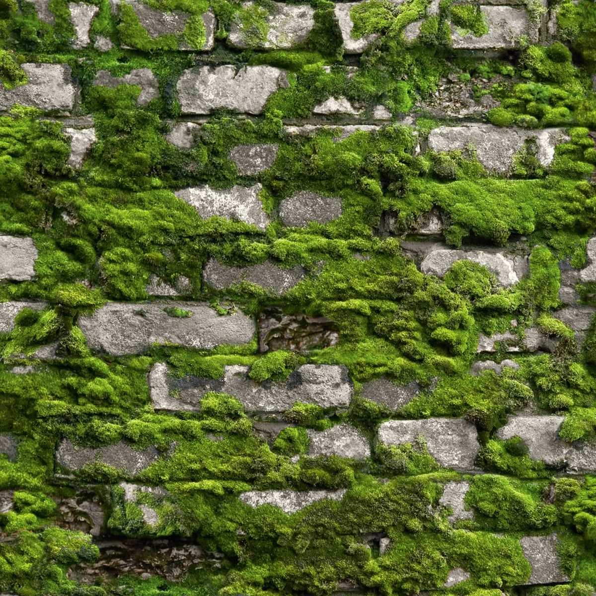 Bricks And More 45731