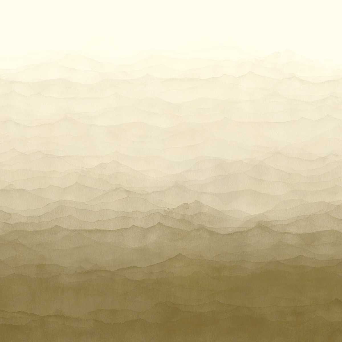 Designer Walls DW2039