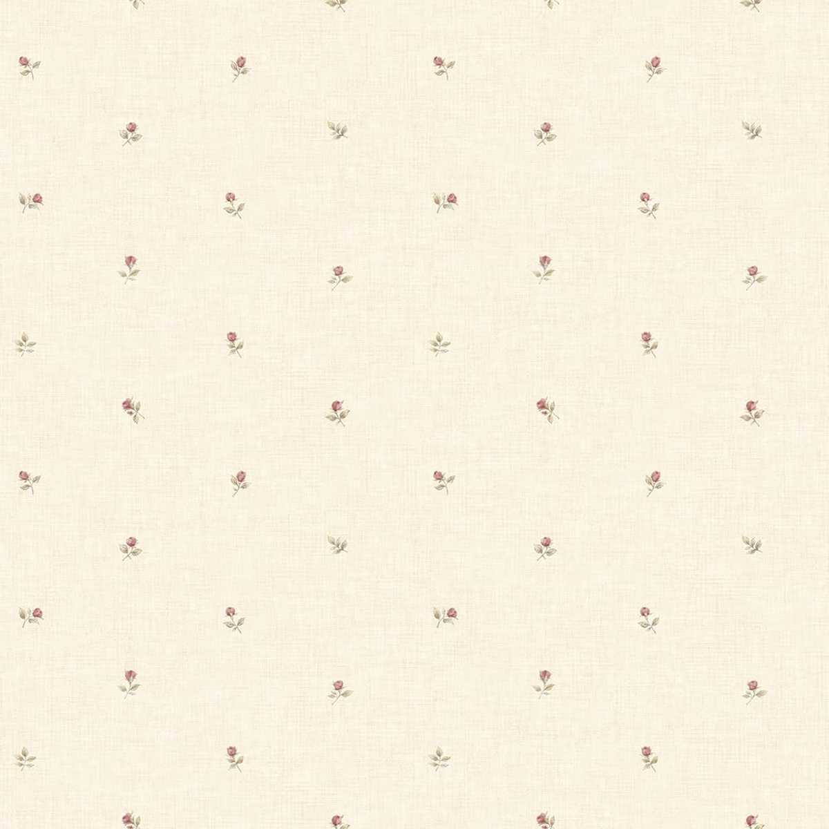 Rose Garden CG28855