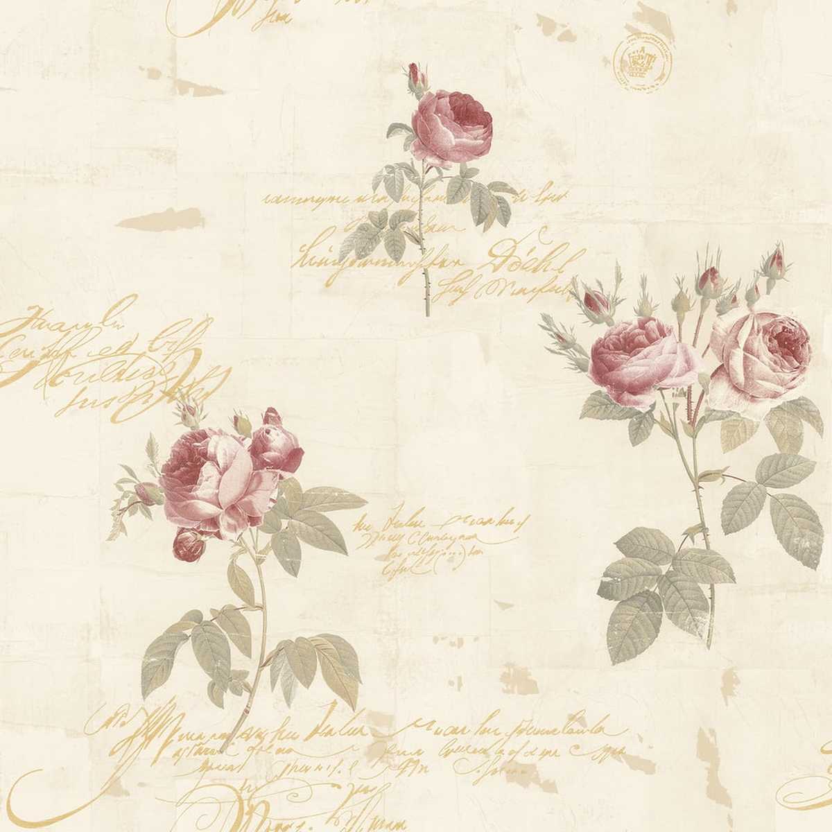 Rose Garden CG28860