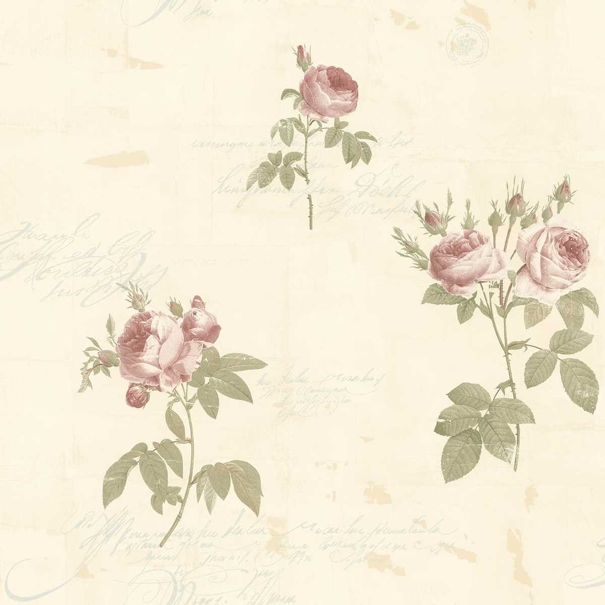 Rose Garden CG28861