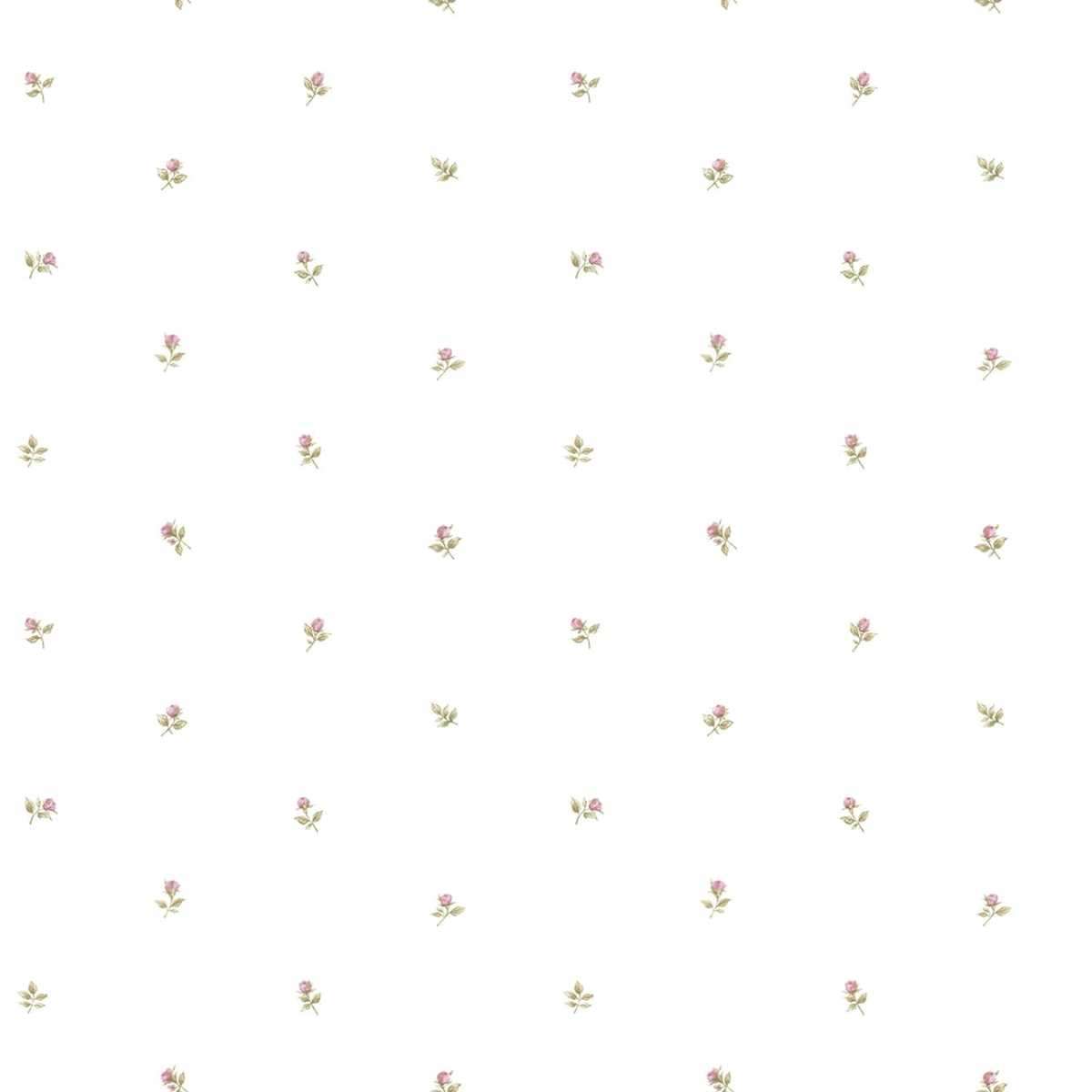 Rose Garden CG28872