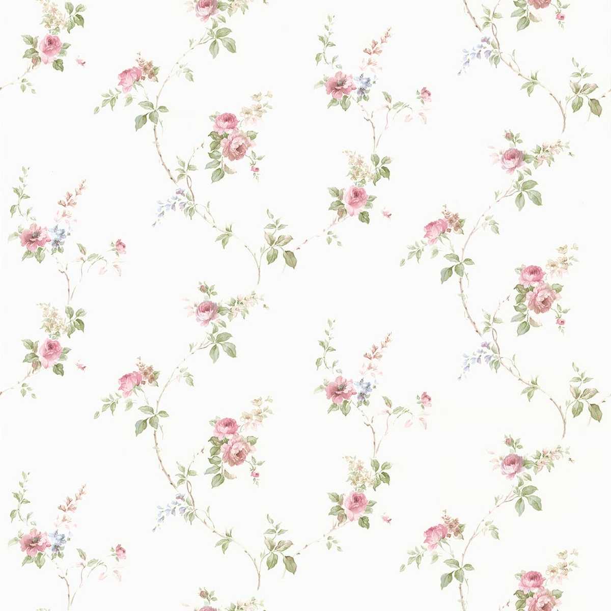 Rose Garden CN24621