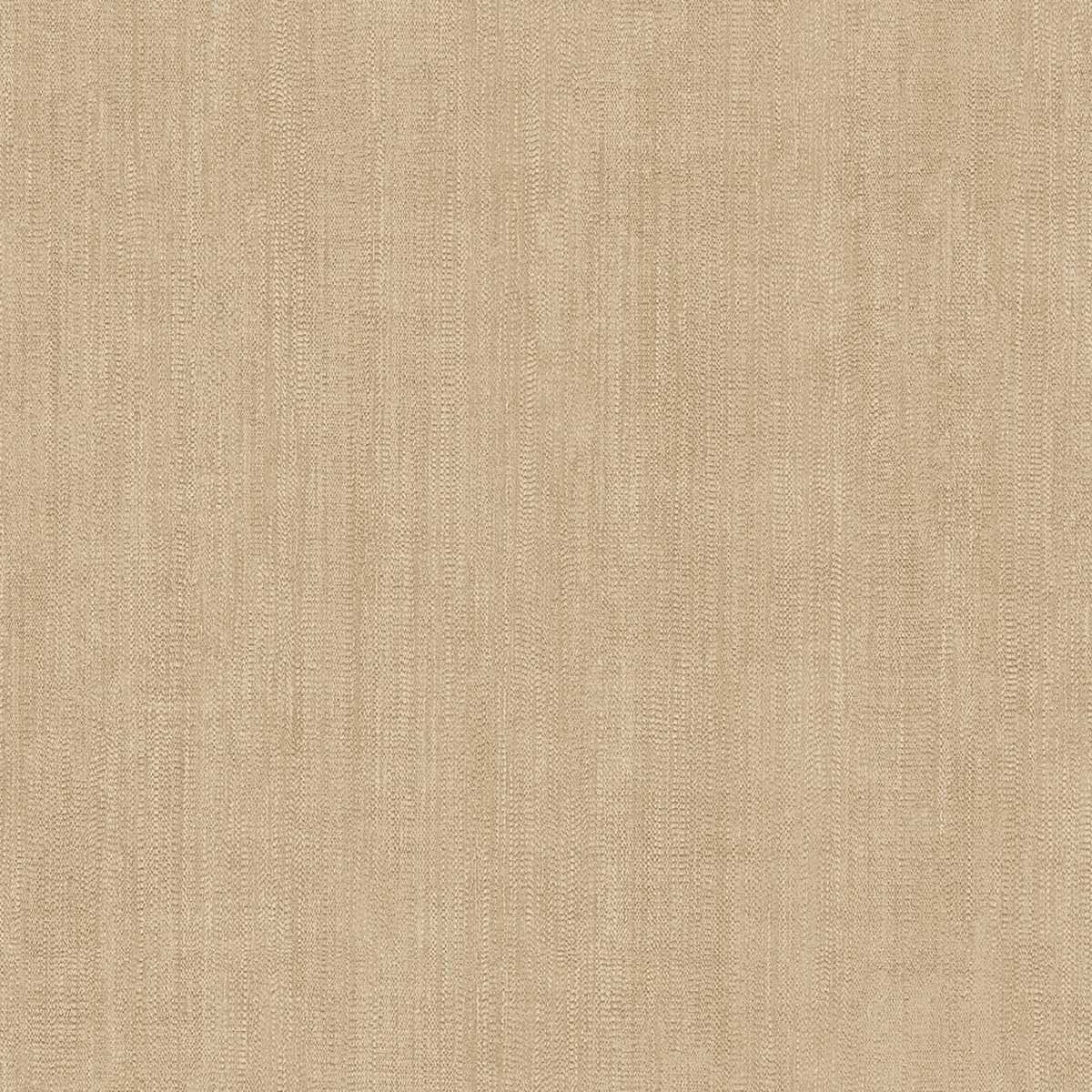 Shades Of Colour AL26203