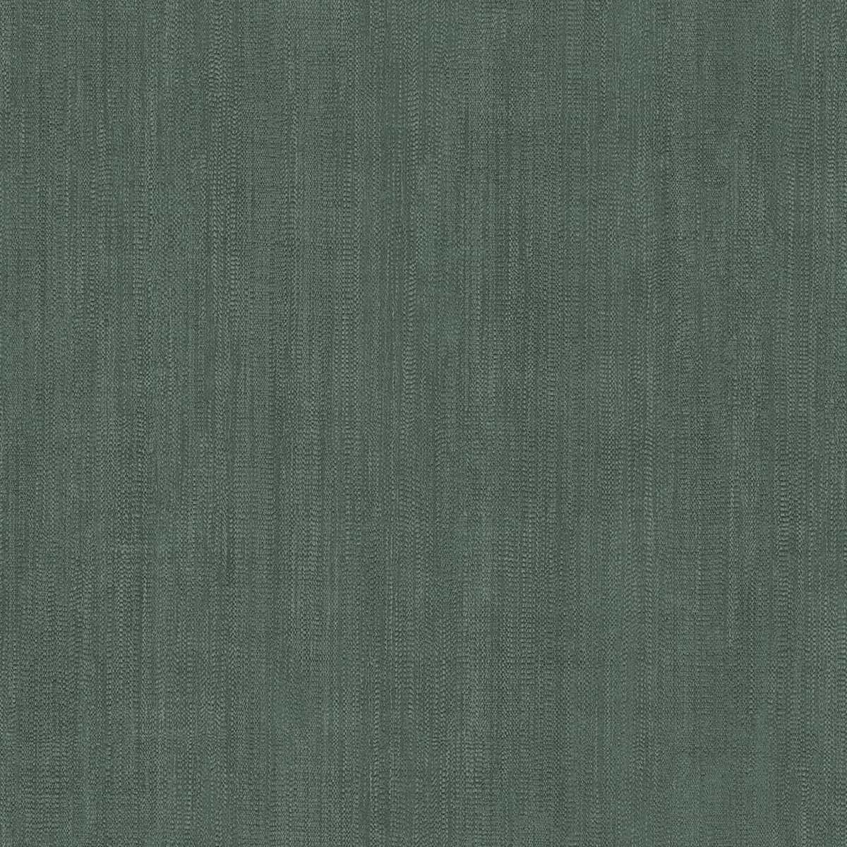 Shades Of Colour AL26211