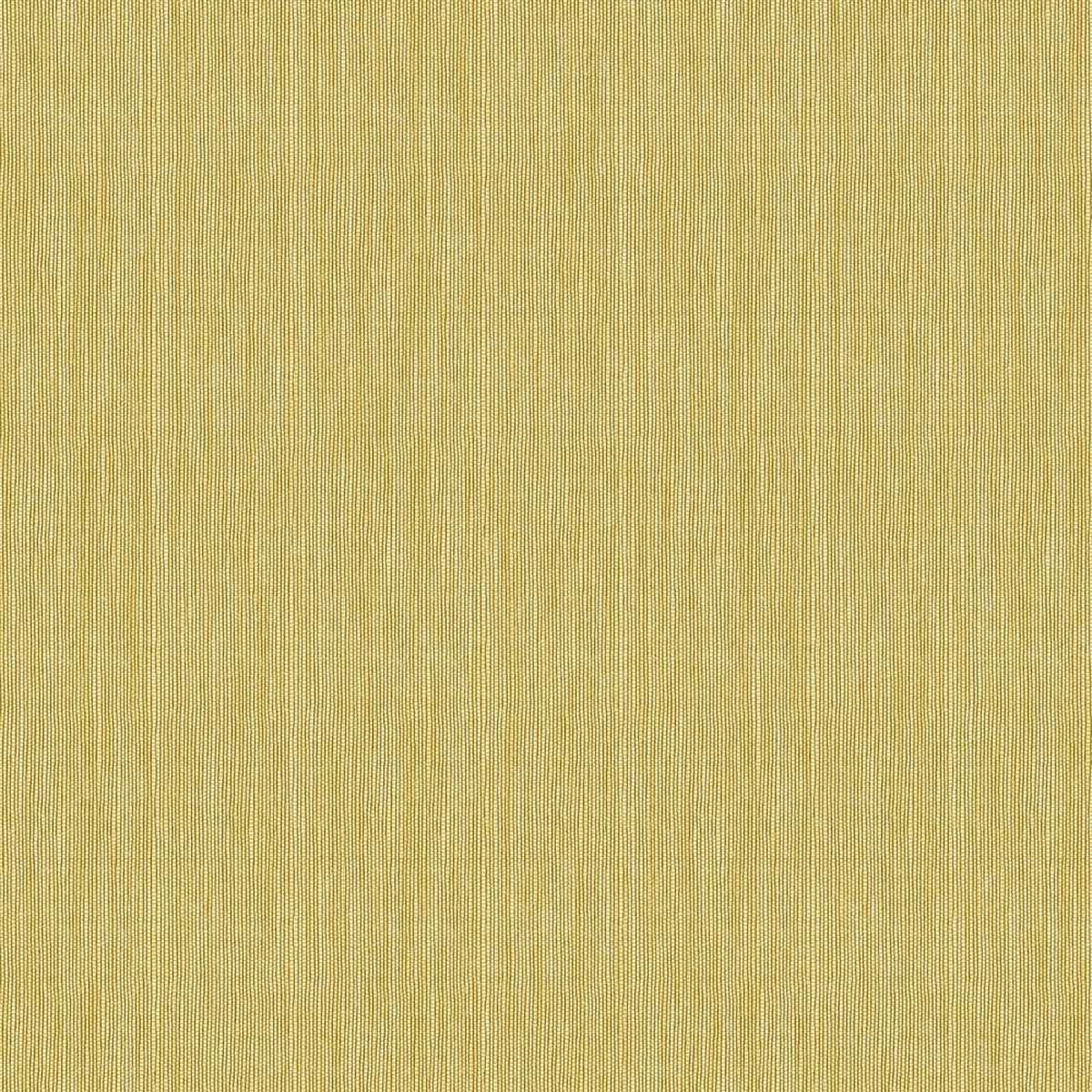 Shades Of Colour BA26011