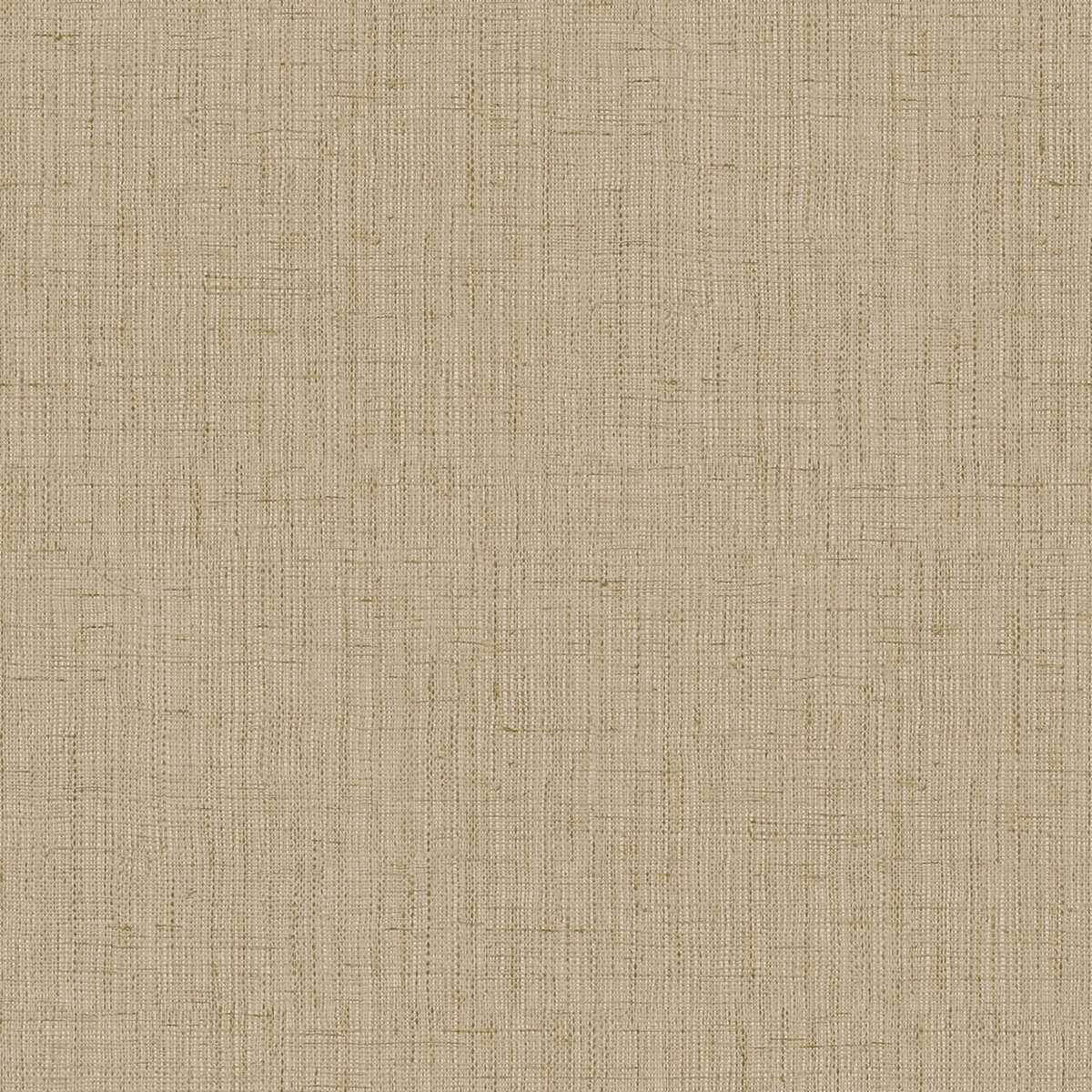 Shades Of Colour OG22305
