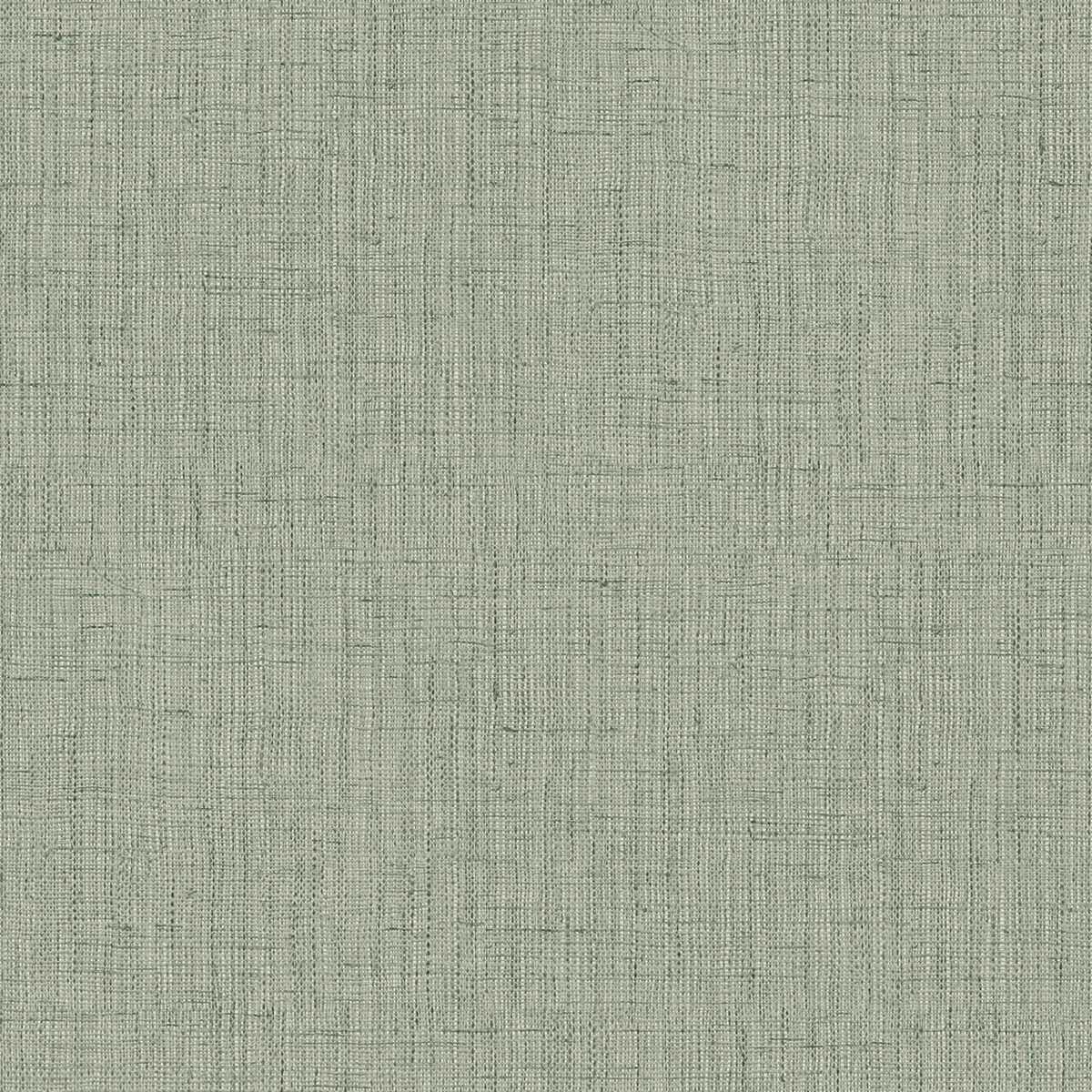 Shades Of Colour OG22308