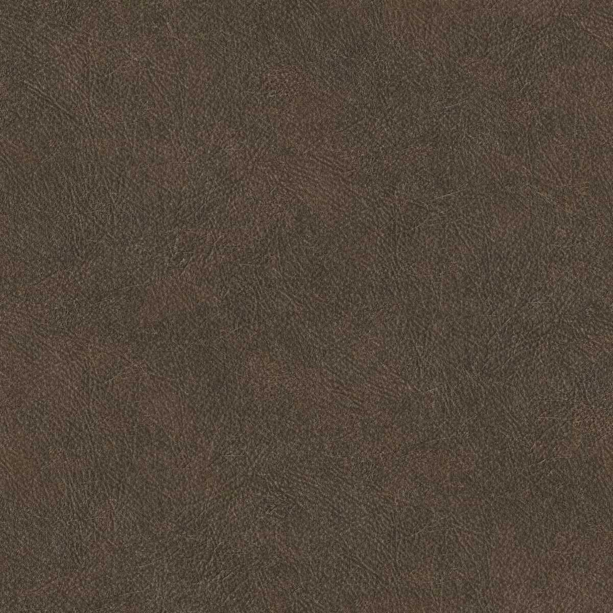 Shades Of Colour TA25025