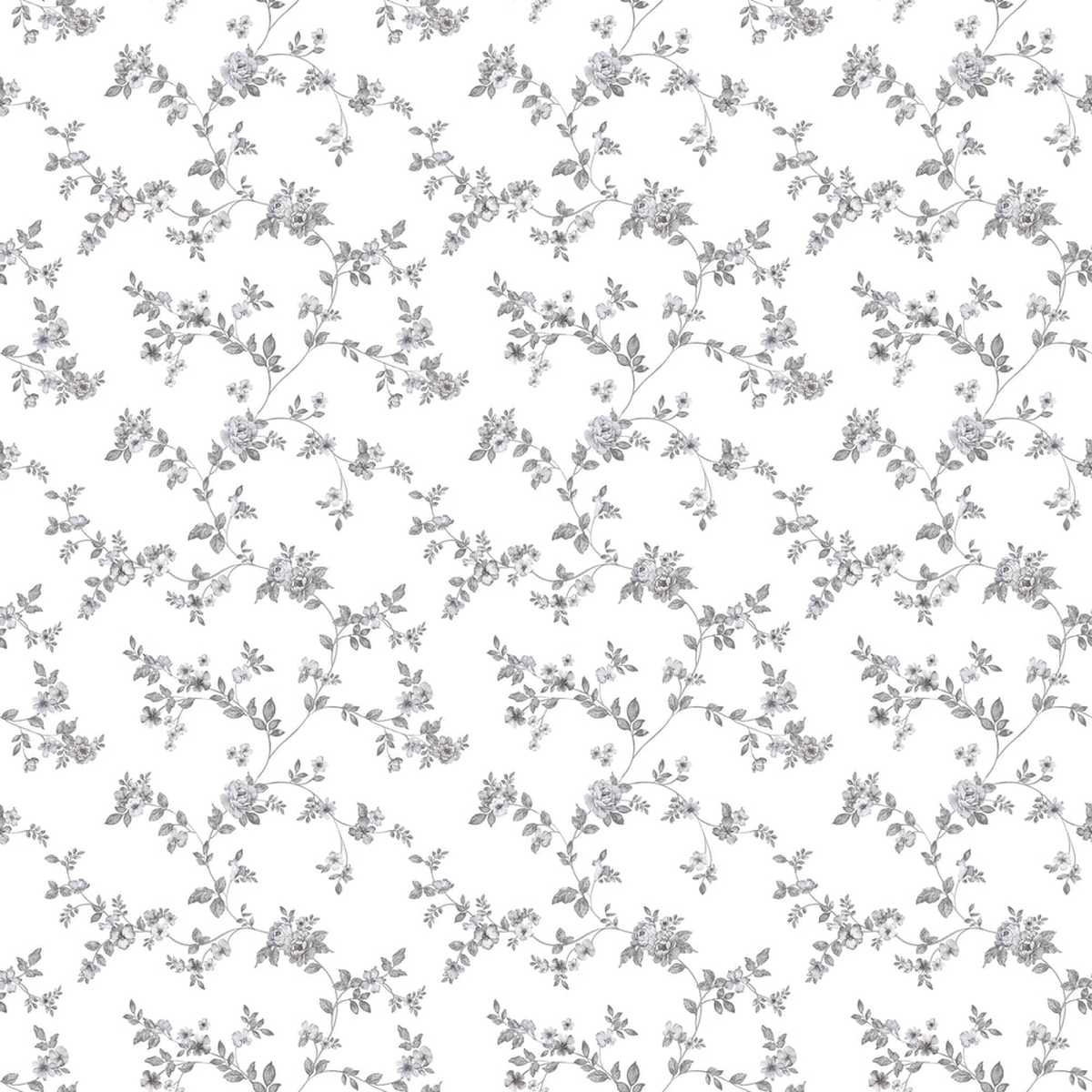 Small Prints G56646