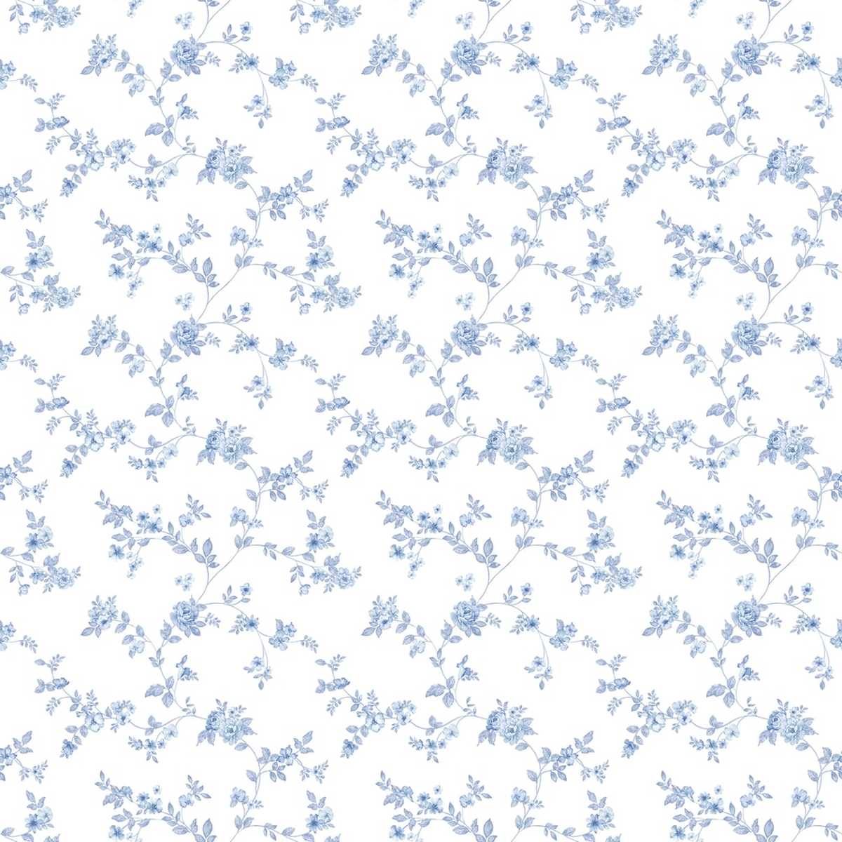 Small Prints G56647