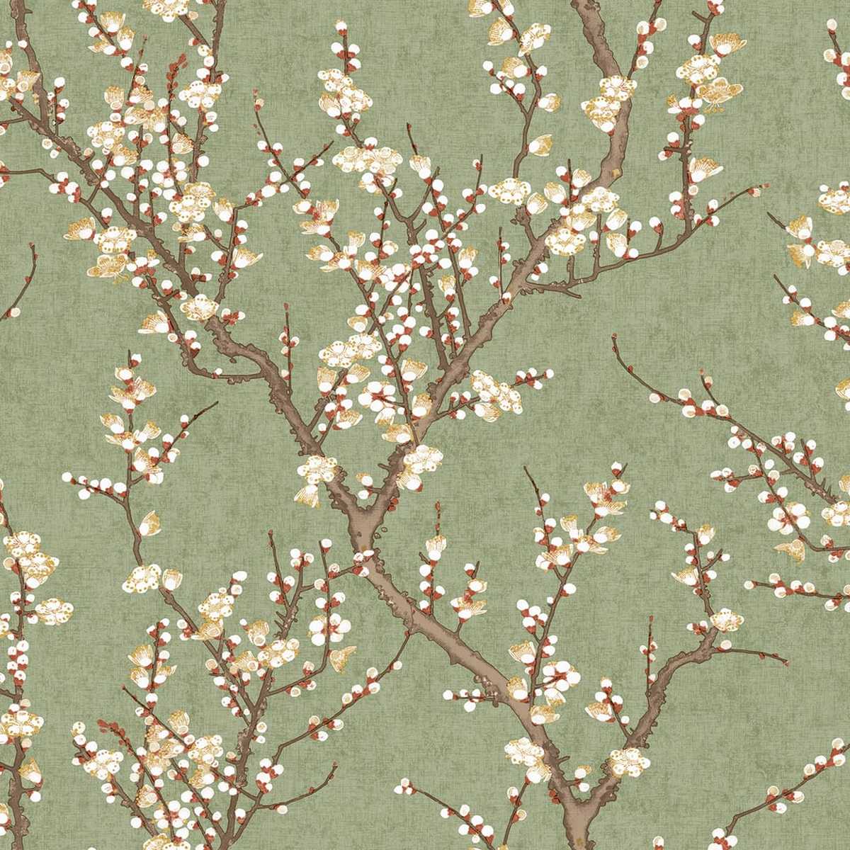 Spring Blossom 1903-4