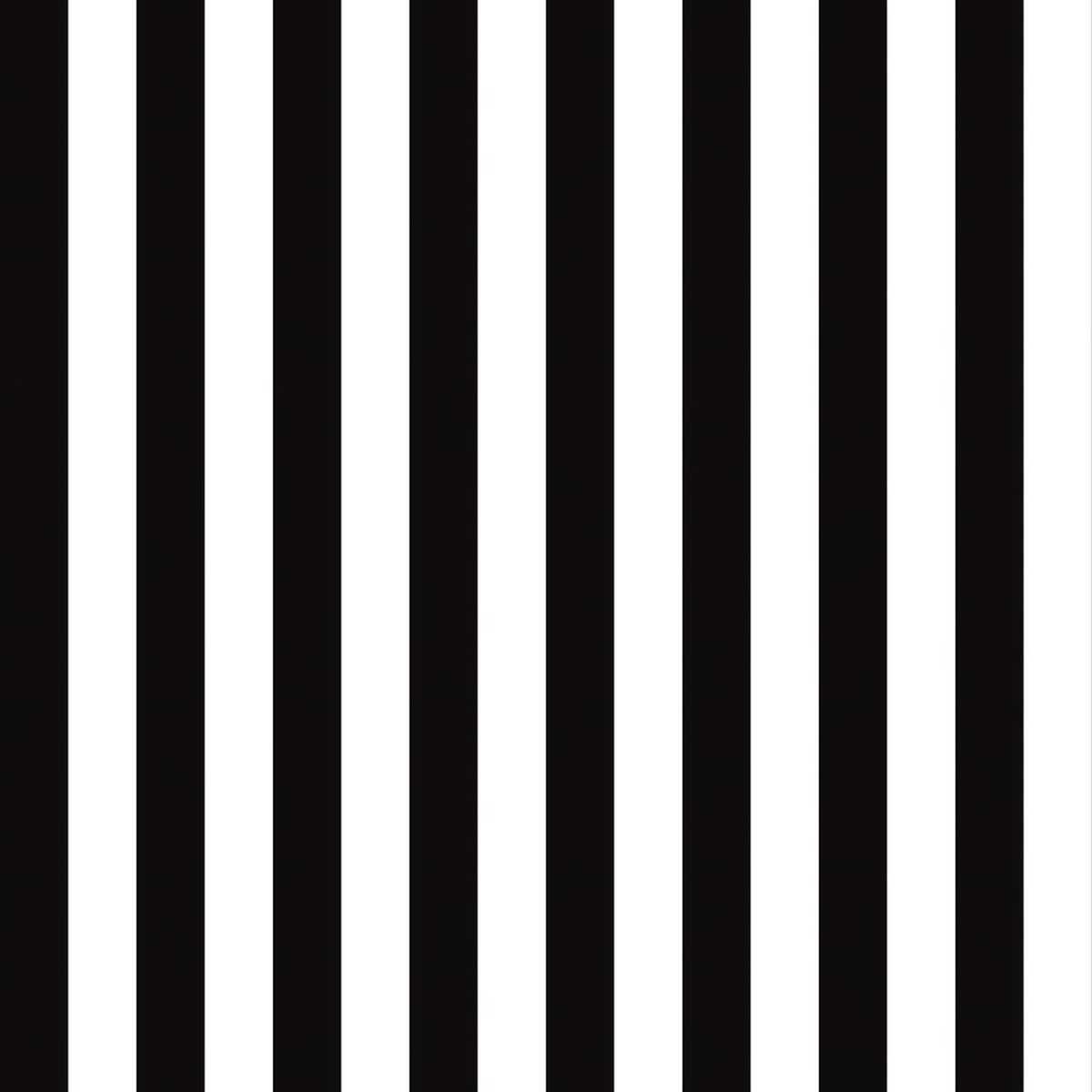 Stripes And Damask 2 BW28702