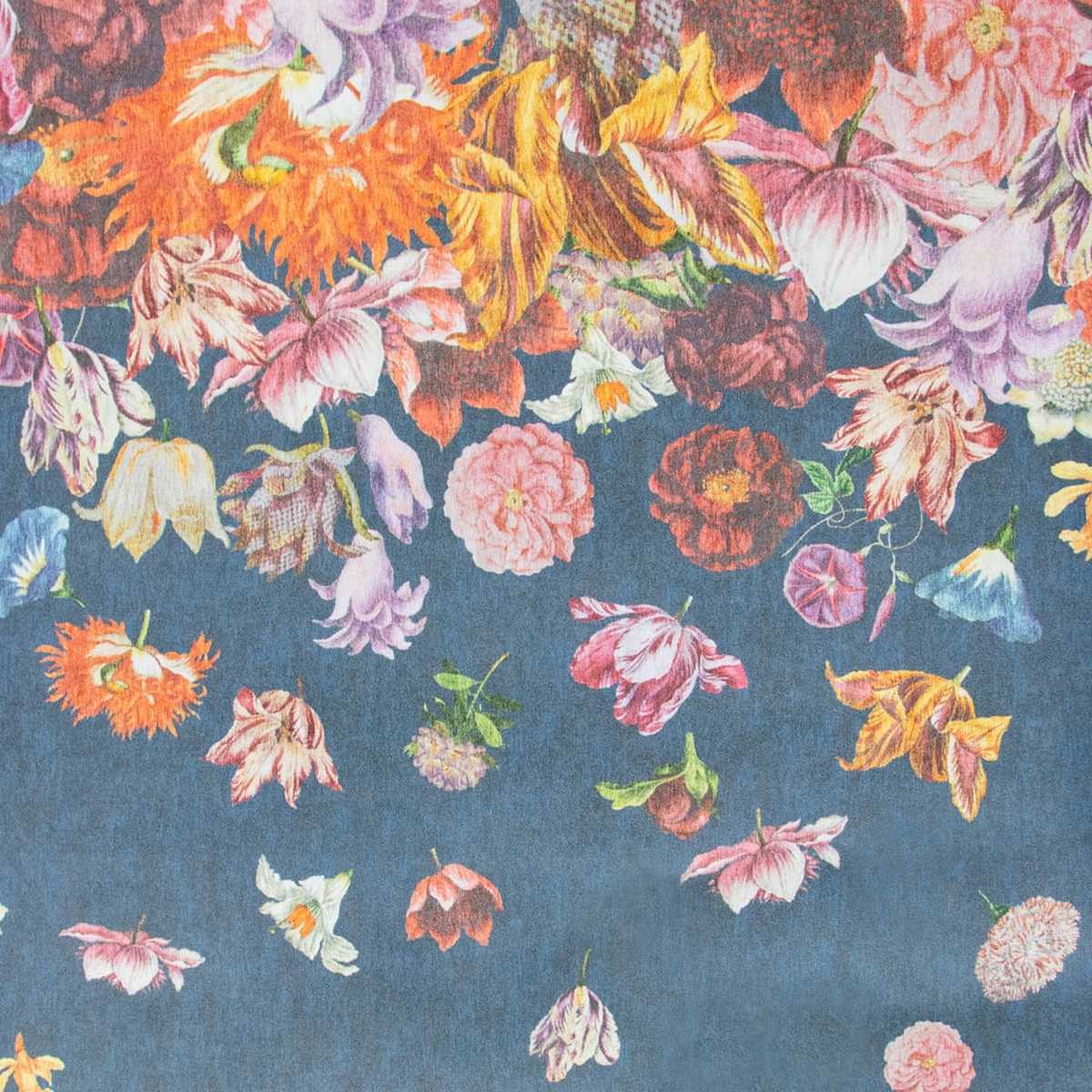 Tropical 18005
