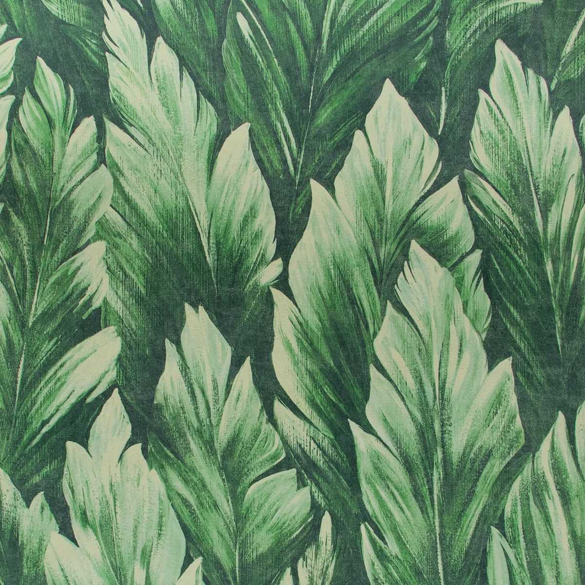Tropical 26707