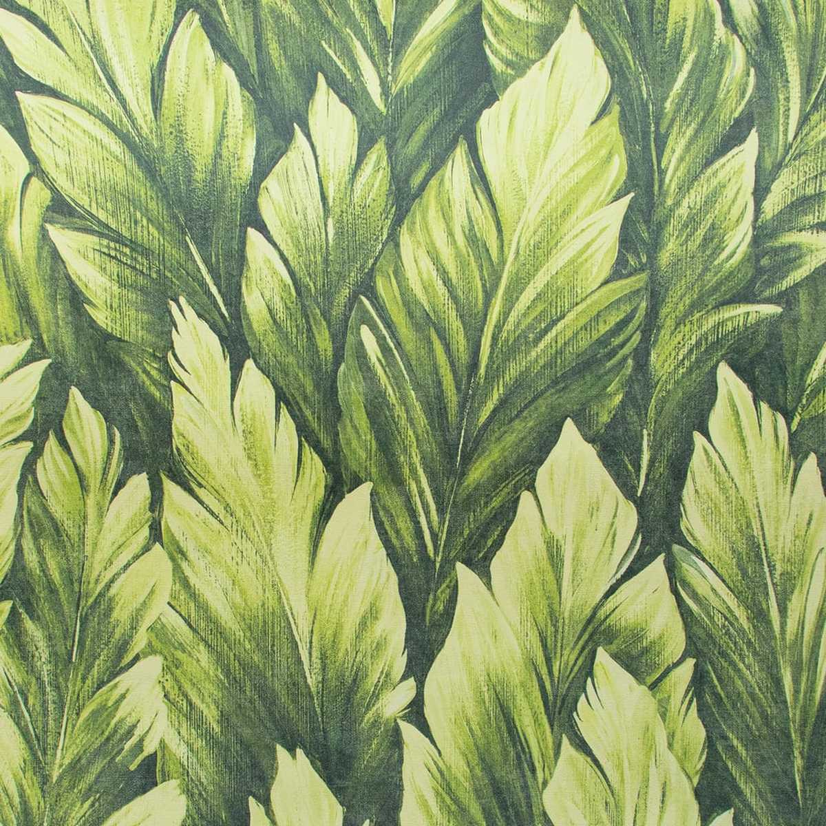 Tropical 26708