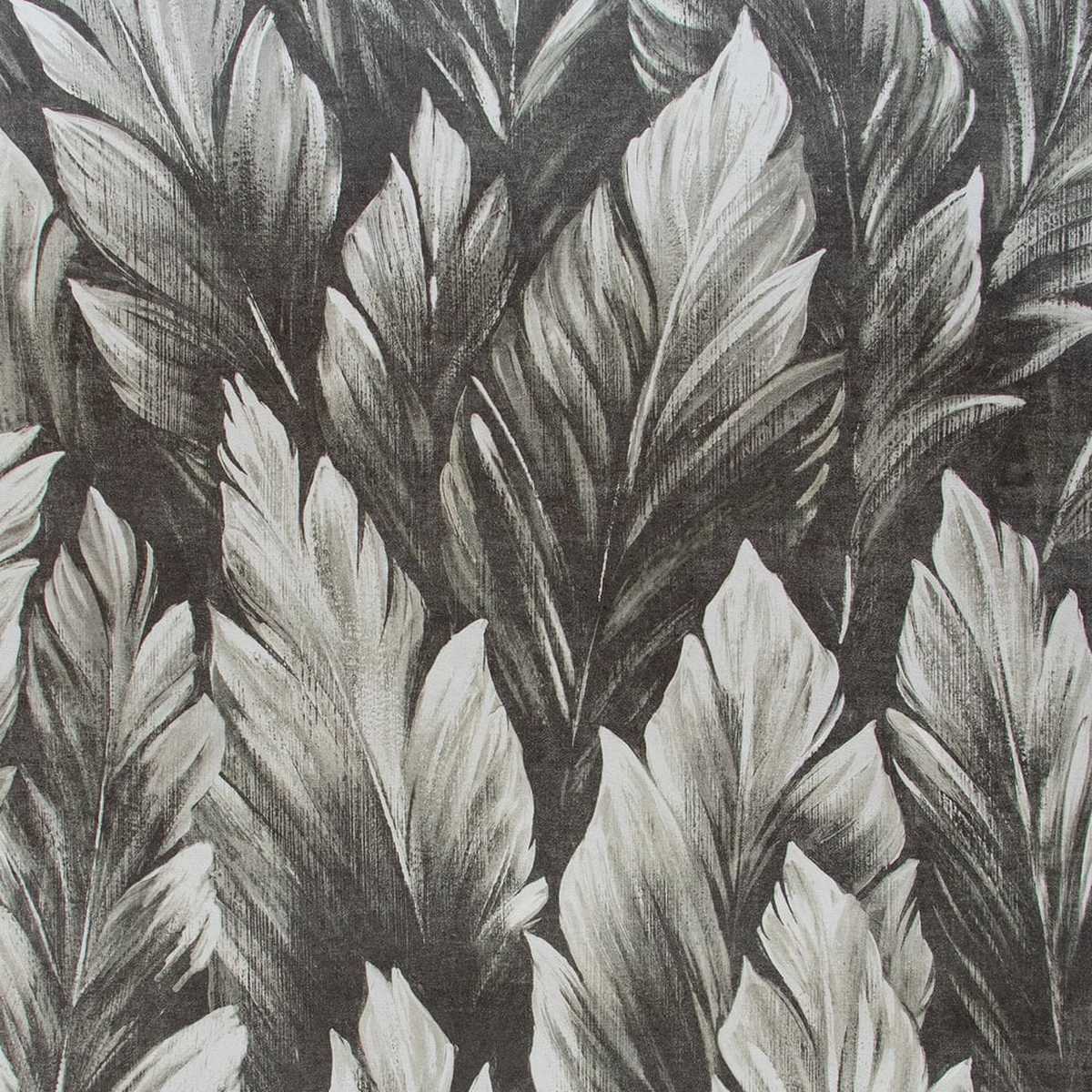 Tropical 26710