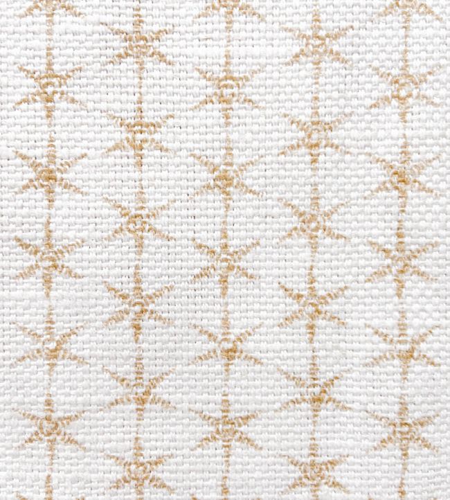 Essentials Fabric Collection