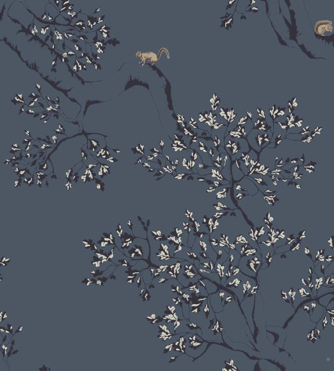Albion Collection