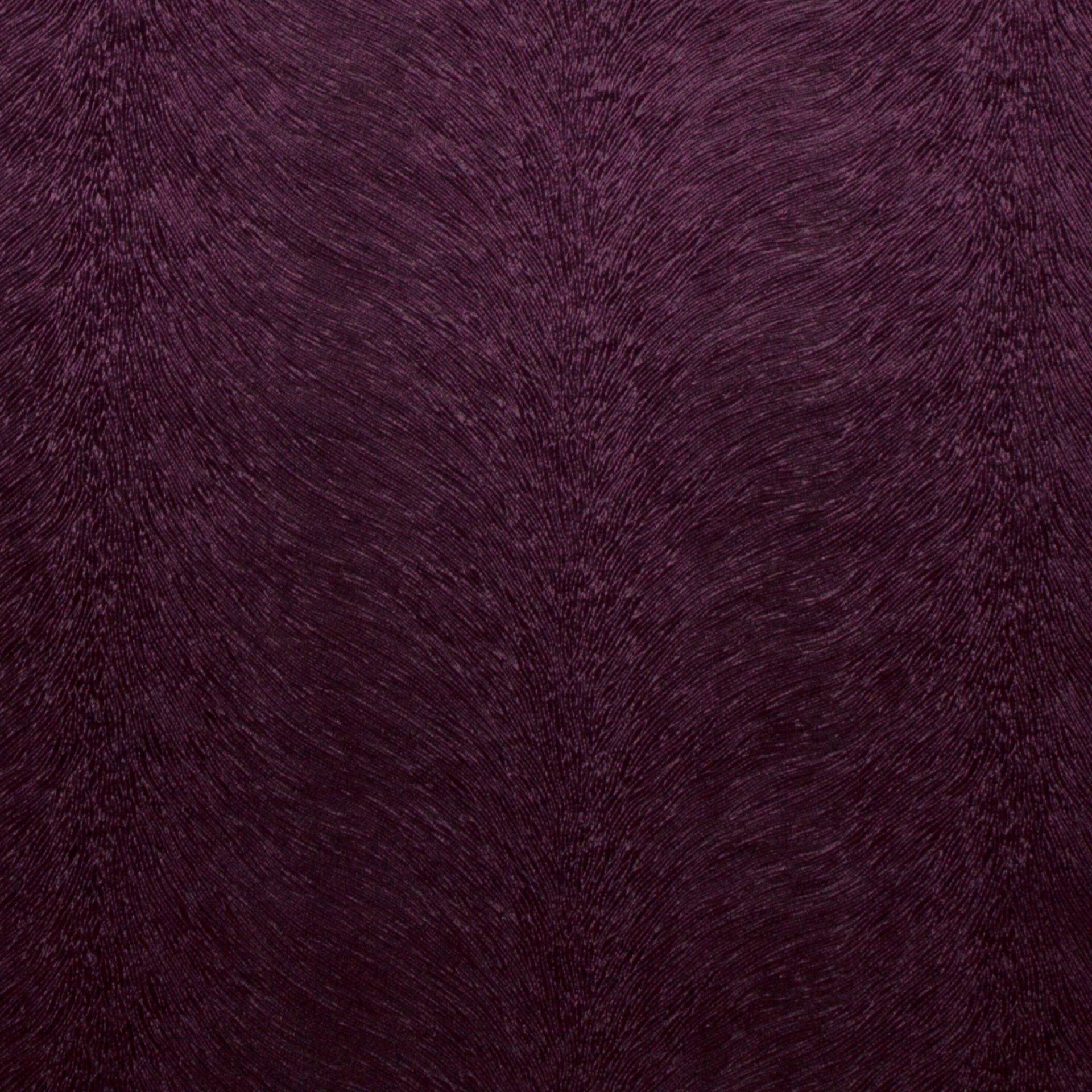 Allegra 2
