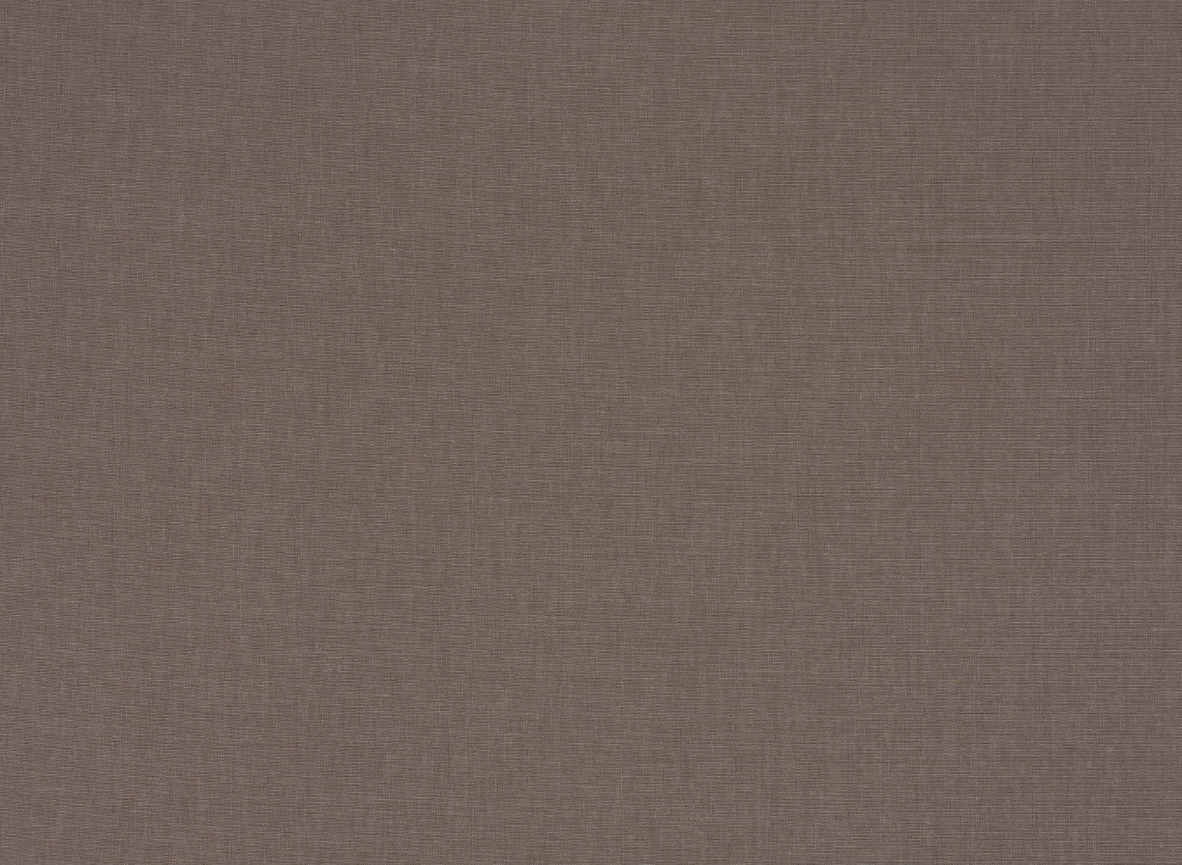 Sahara II