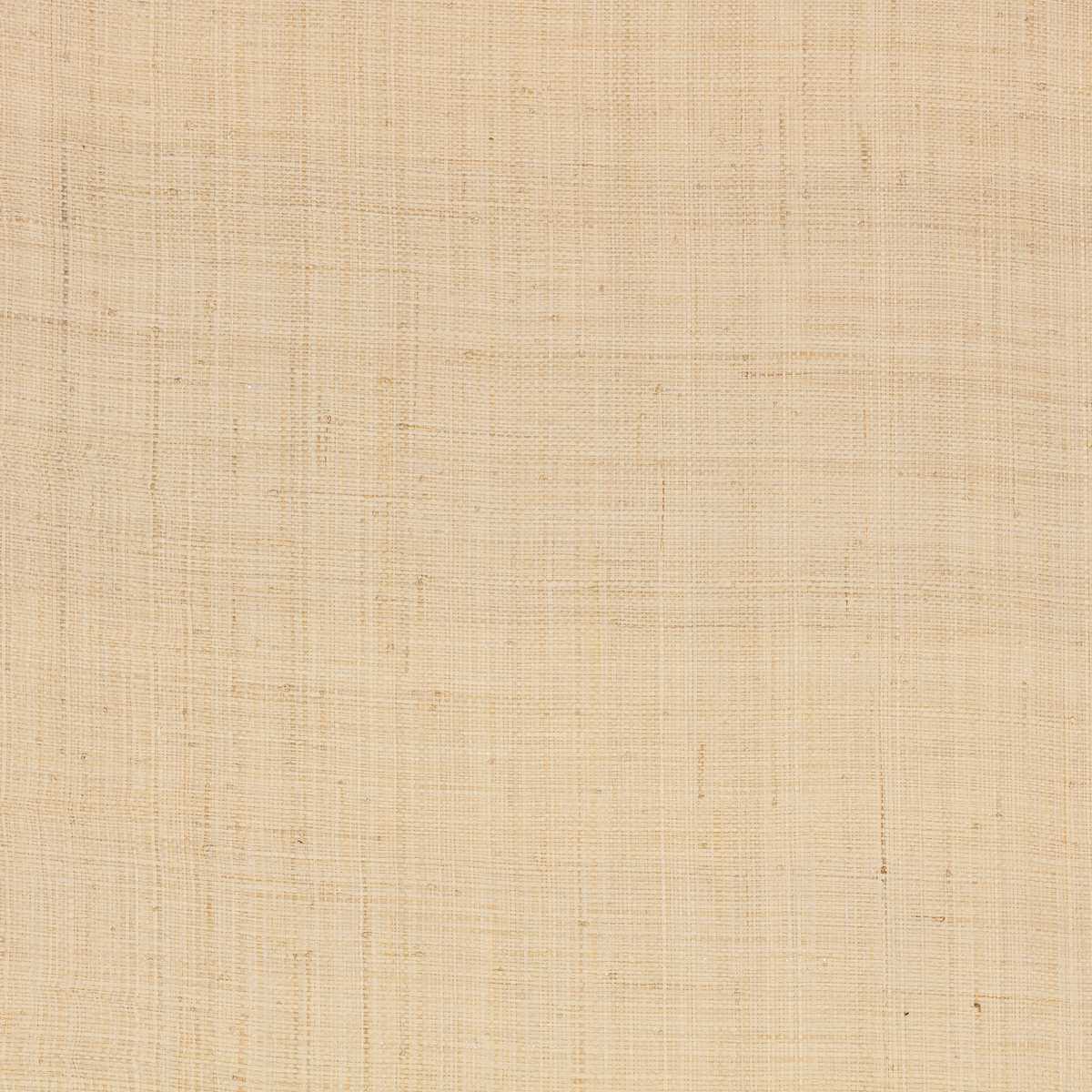 Palm Natural