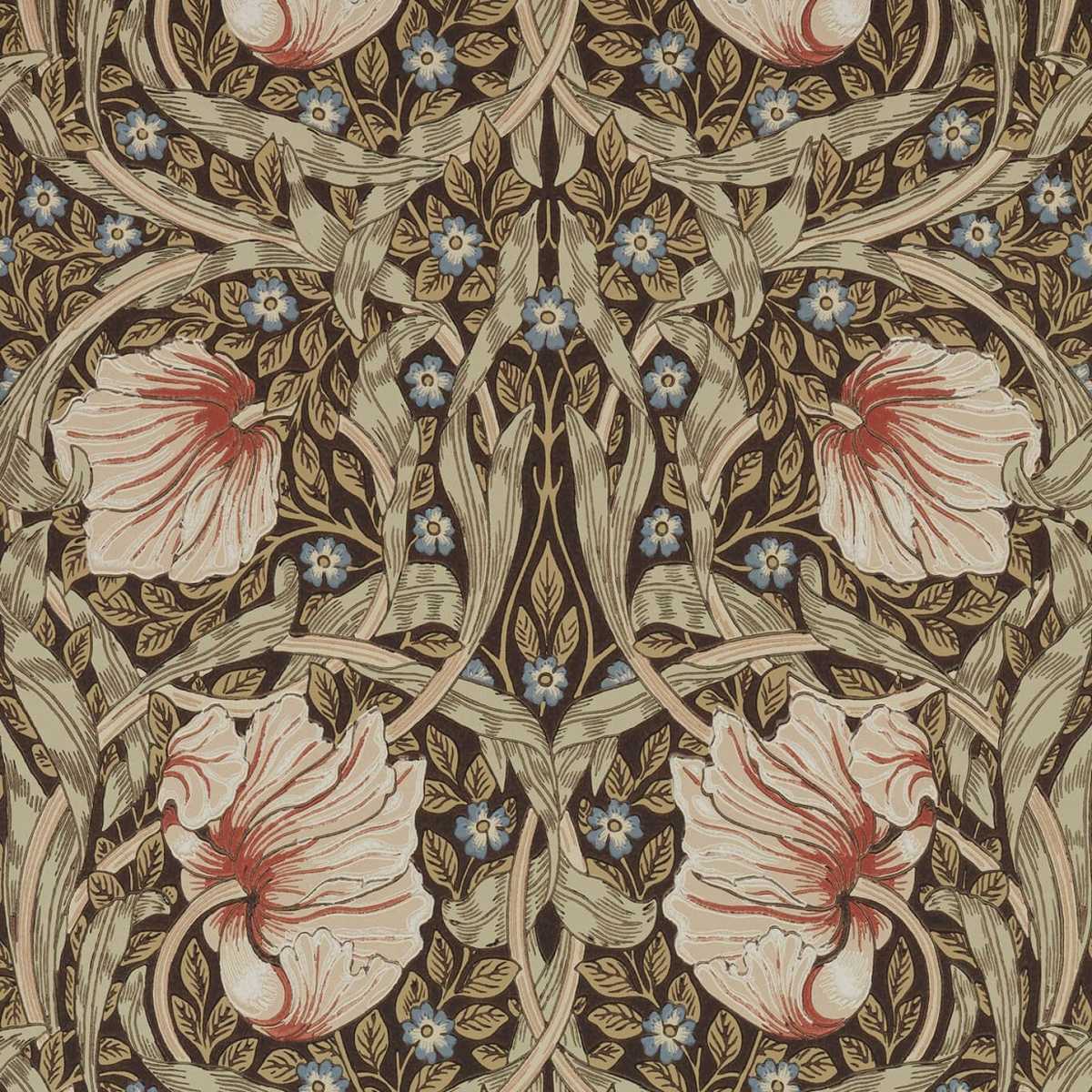 Colours of Morris