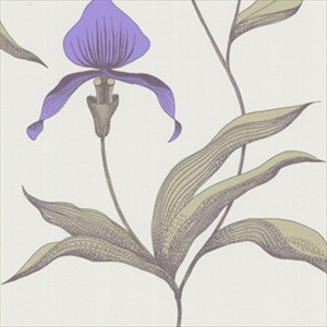 Orchid 66-4024