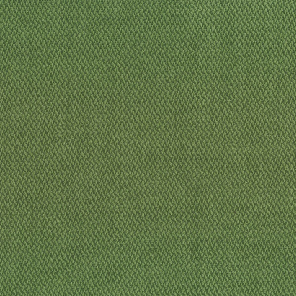 Terra Firma Stain-Resistant