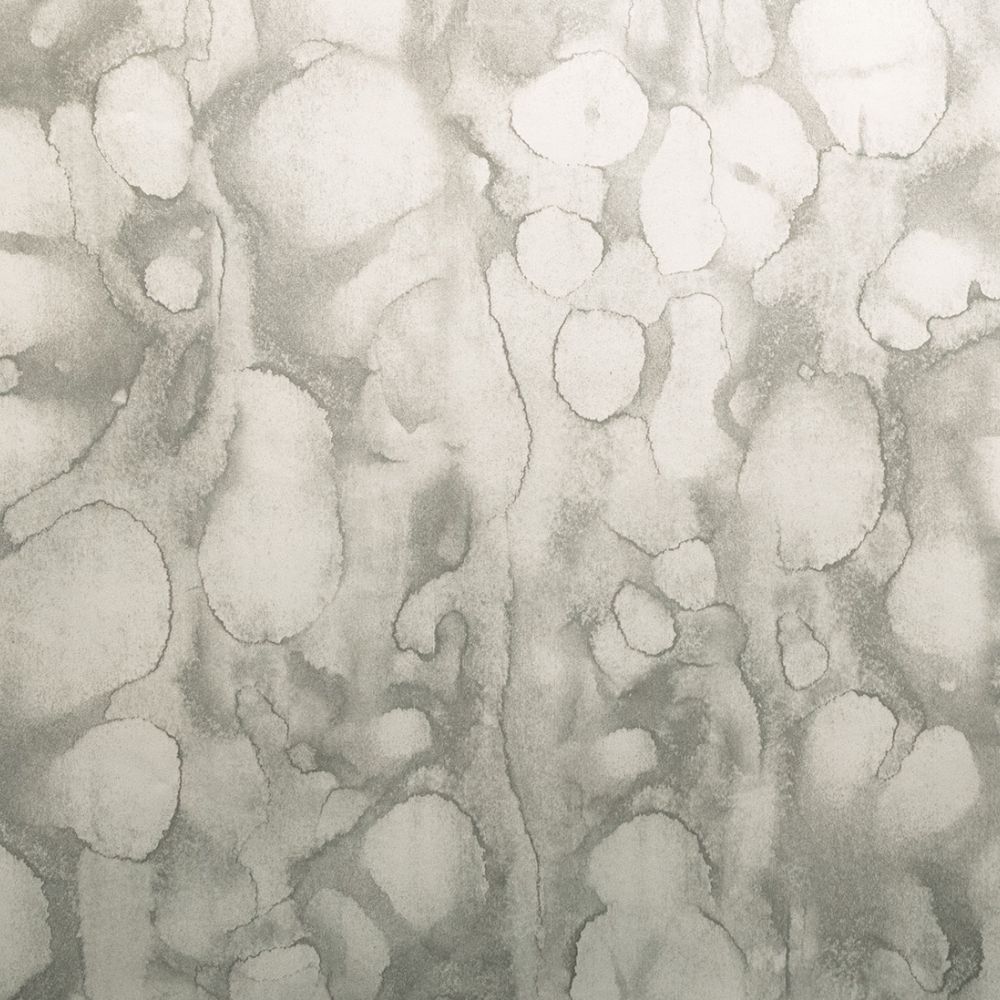 River Bed