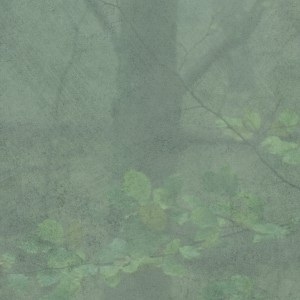 Skog 622-08