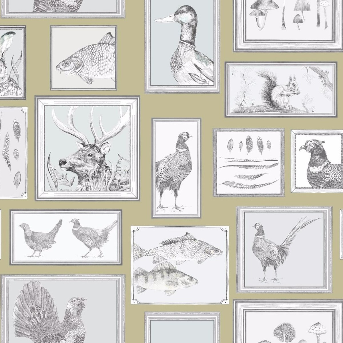 Natural History