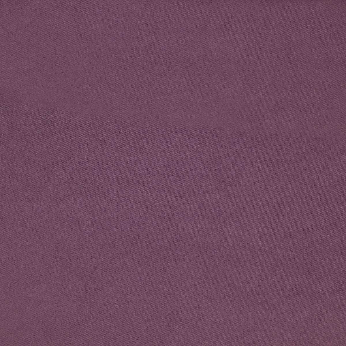 Alpha 16 Plum