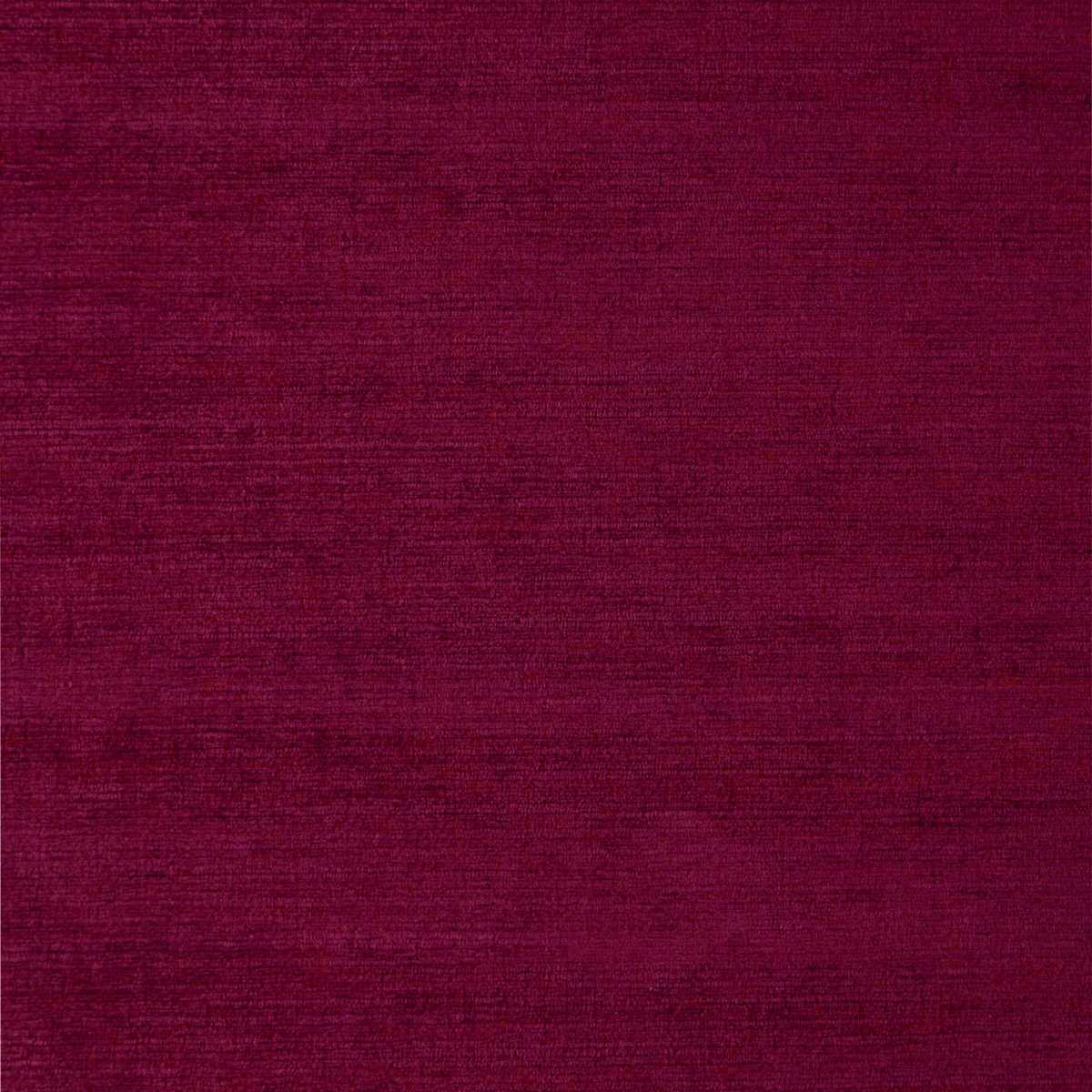 Ballantrae 20 Peony